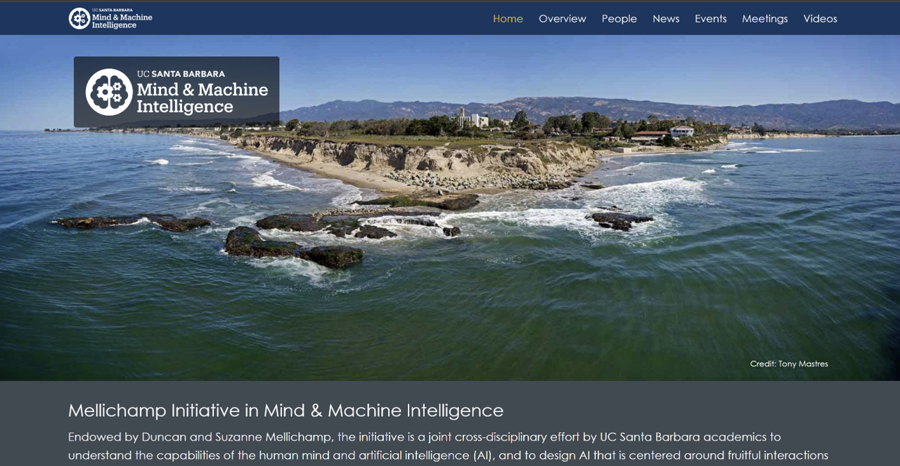 Snapshot of MMI website